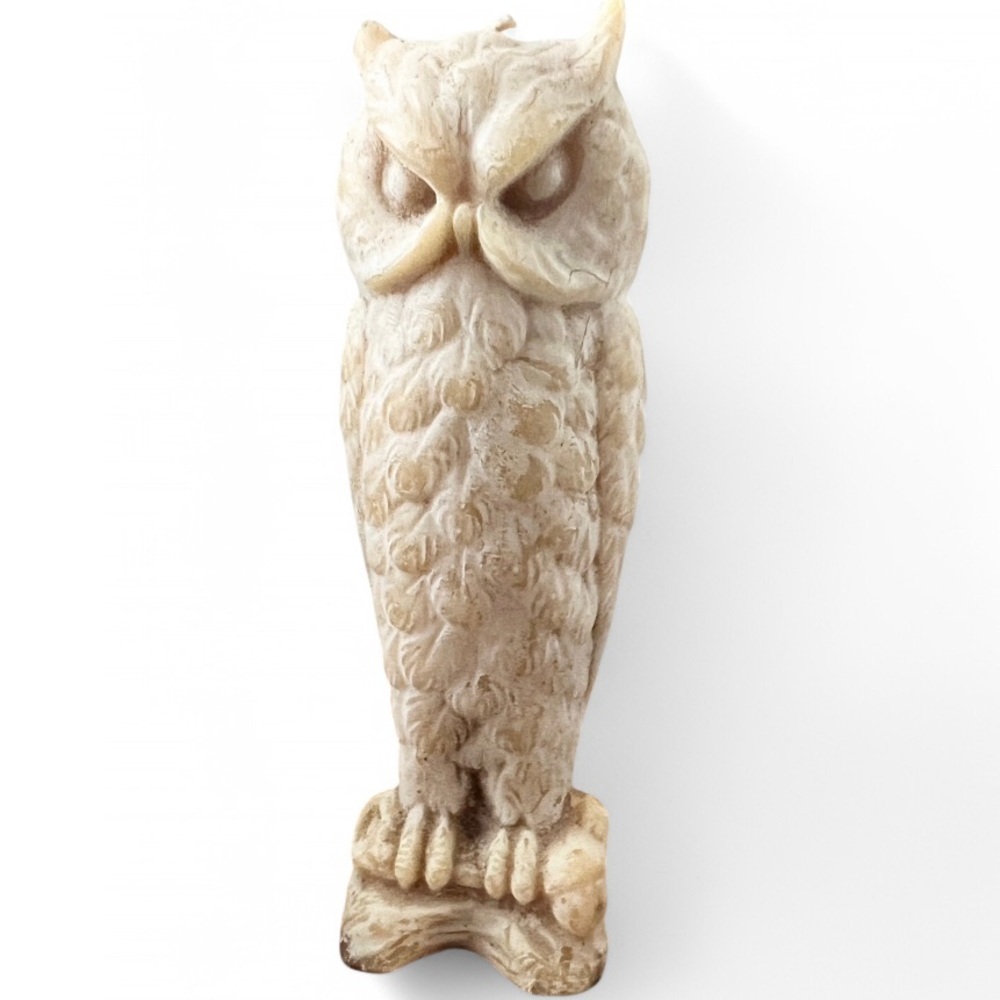 Owl Retro Victorian Style Folklore Witchy Goth Wax Candle Home Decor Bees Wax